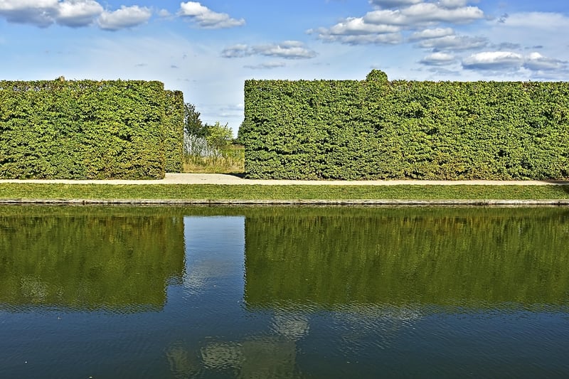 Unicorn Hedges