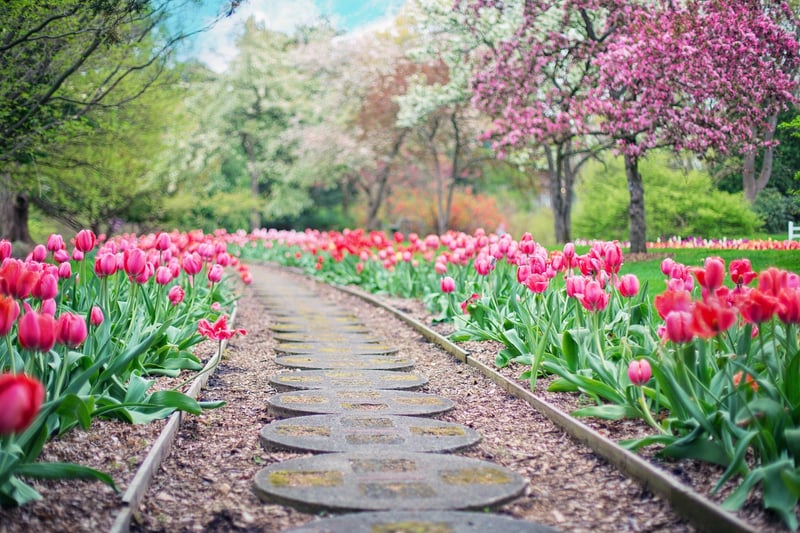 Curved Stone Pathway